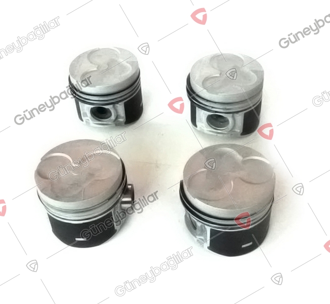 HY01-M014A - - PISTON SEGMANLI STD