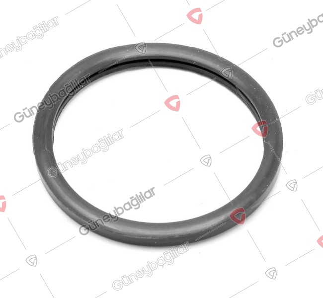 IZ02-M294A - 8973007930 - CONTA TERMOSTAT LASTIK