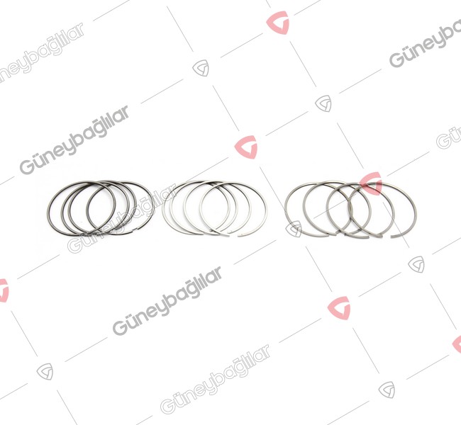 IZ36-M010A - 898375118051 - SEGMAN STD SET