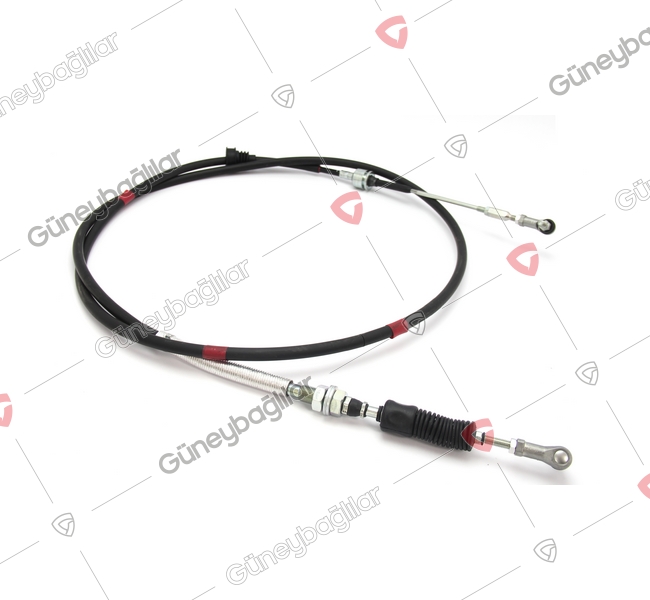 MB01-S170B - MK526205 - TEL VITES SECICI